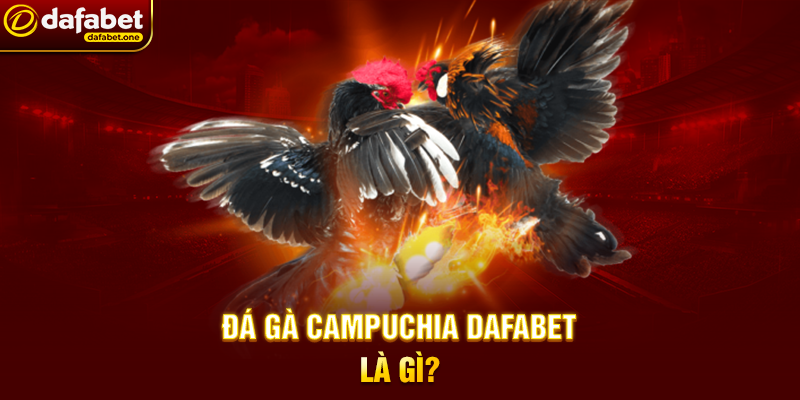 Đá Gà Campuchia Dafabet – Đỉnh Cao Cá Cược Trực Tuyến 2 Đá Gà Campuchia Dafabet Là Gì?