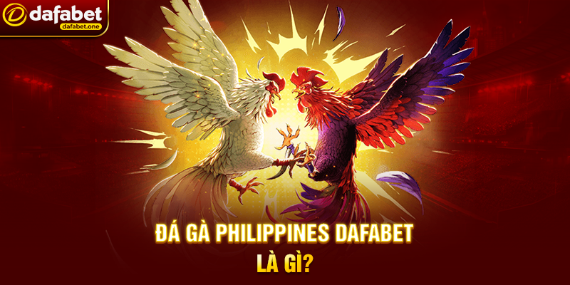 Đá Gà Philippines Dafabet – Trải Nghiệm Cá Cược Đỉnh Cao 3 Đá Gà Philippines Dafabet Là Gì?