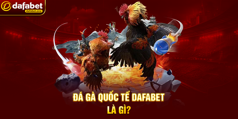 Đá Gà Quốc Tế Dafabet – Trải Nghiệm Cá Cược Đỉnh Cao 1 Đá Gà Quốc Tế Dafabet Là Gì?