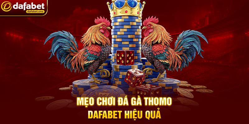 Mẹo Chơi Đá Gà Thomo Dafabet Hiệu Quả