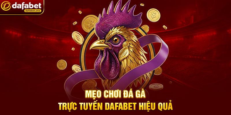 Mẹo Chơi Đá Gà Trực Tuyến Dafabet Hiệu Quả