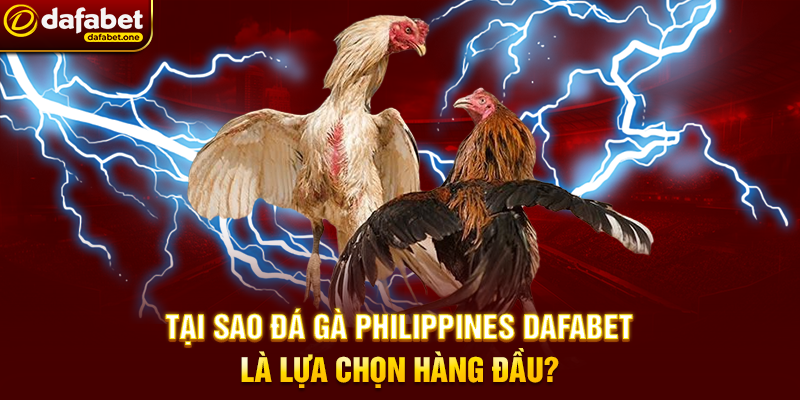 Tại Sao Đá Gà Philippines Dafabet Là Lựa Chọn Hàng Đầu?