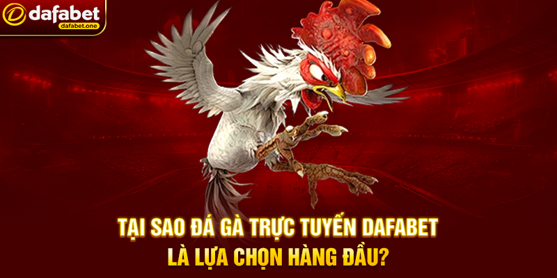 Tại Sao Đá Gà Trực Tuyến Dafabet Là Lựa Chọn Hàng Đầu?